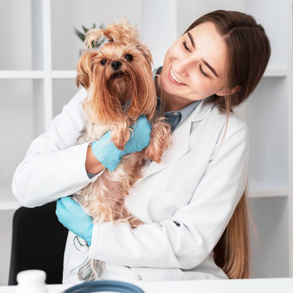 New Patient Registration Echo Vet Cardio Veterinary Cardiologist