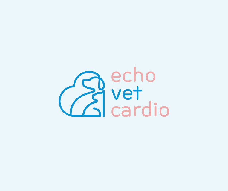 Echo Vet Cardio Team Member Profile